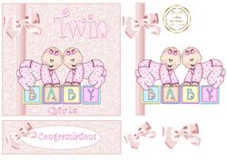 Twin Baby Girl Blocks