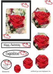 Celebration Rose Champagne