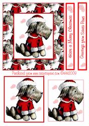 Greetings from Santa Paws