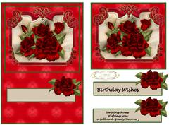 Rose for Birthday Get Well