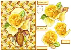 Yellow Rose