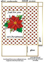 Poinsettia Gift Bag