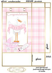 Stork Baby Girl Gift Bag