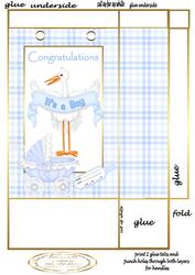 Stork Baby Boy Gift Bag