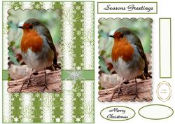 Robin Scalloped Snow