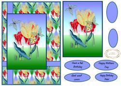 Tulip Delight