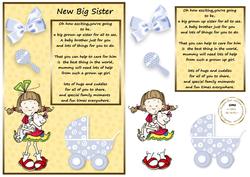 New Big Sister to Baby Boy