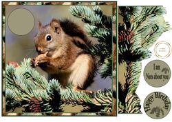Im Nuts About You