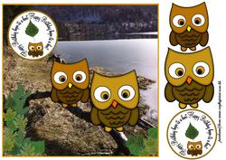 Hope Its a Hoot