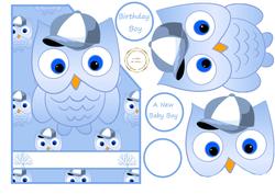 Baby Boy Owl/birthday