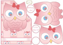 Baby Girl Owl/birthday