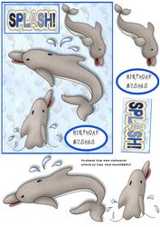 Splash the Dolphin