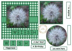 Wish