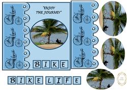 Bike/life