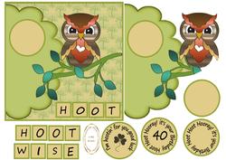 Hoot/wise