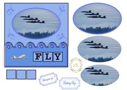 Fly