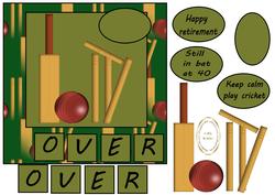 Over (cricket)