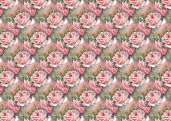 Rose 2