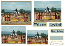 Showjumping
