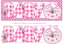 Baby Girl Large Dl