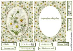Daisy Cameo Card Front