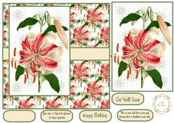 Floral Lily All Occasions