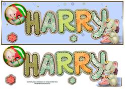 Harry