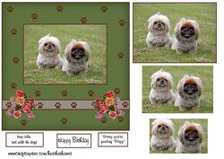 Doggy Wishes Pekingnese