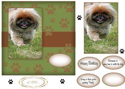 Pekingnese Paws