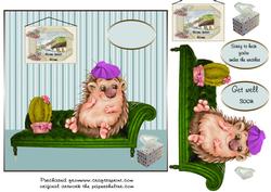 Hedgies Unwell
