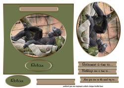 A Time to Relax Gorilla