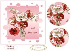 Poppies Pink
