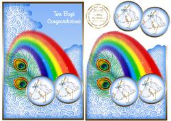 Twin Baby Boys Rainbow