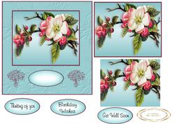 Apple Blossom
