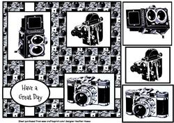 Have a Great Day Vintage Cameras
