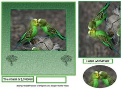 Lovebirds Anniversary Budgies