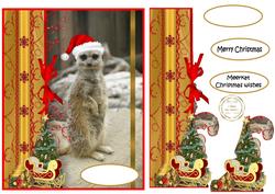 Meerkat Christmas