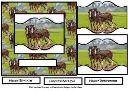 Shire Horses