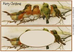 Simply Robins Card Front and Insert