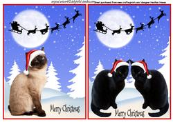 Christmas Cats