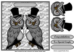 Civil Partnership Male /male Owls
