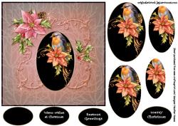 Cameo Robin