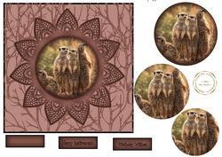 Meerkats Cameo