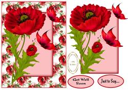 Get Well Poppies
