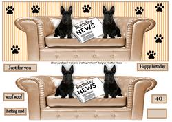 Sofa and Paws