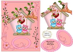 New Nest Owls