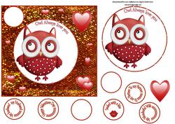 Owl Always Love You