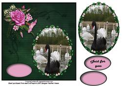 Black Swan