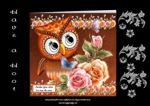 Have a Hoot