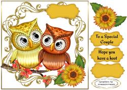 Golden Owls on White